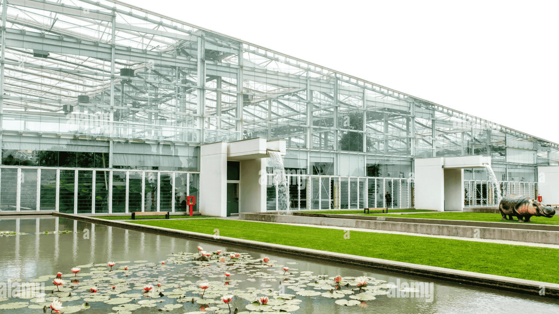 Relax in Modern Greenhouses