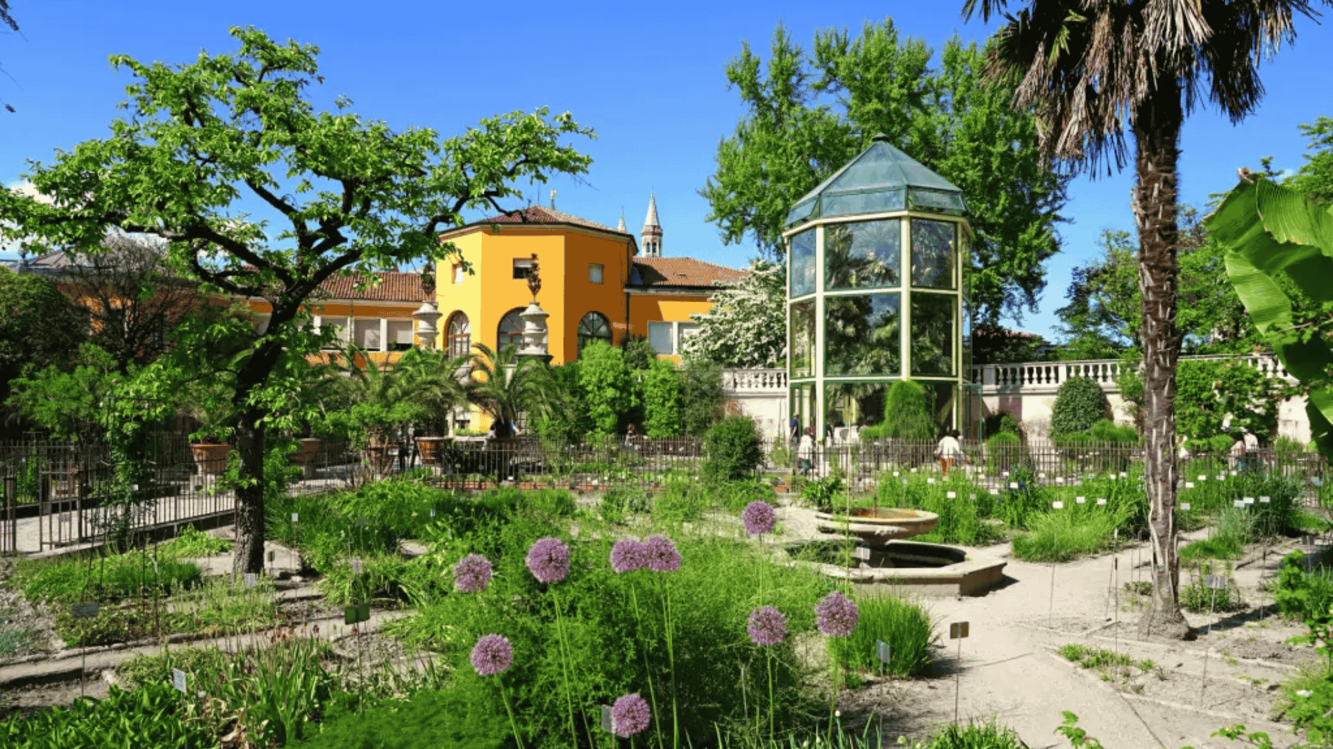 Wander Botanical Garden & Glasshouse